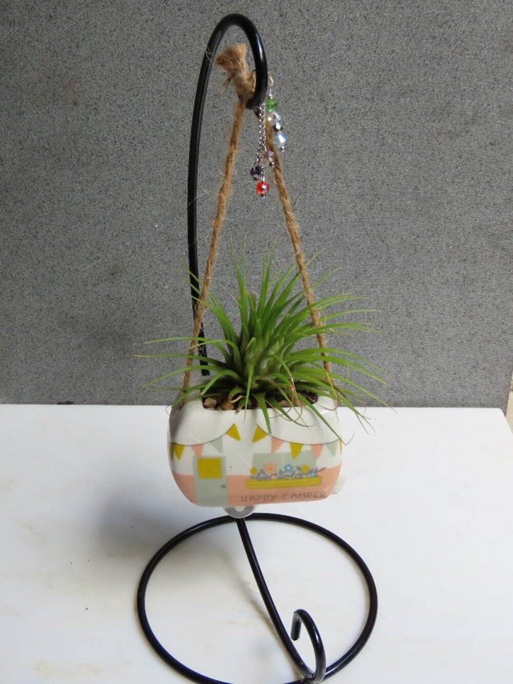 Hanging Happy Camper air plant